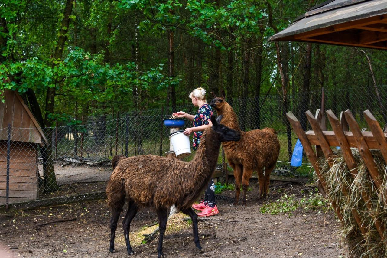 Koziolkowo Farm stay Bartoszylas
