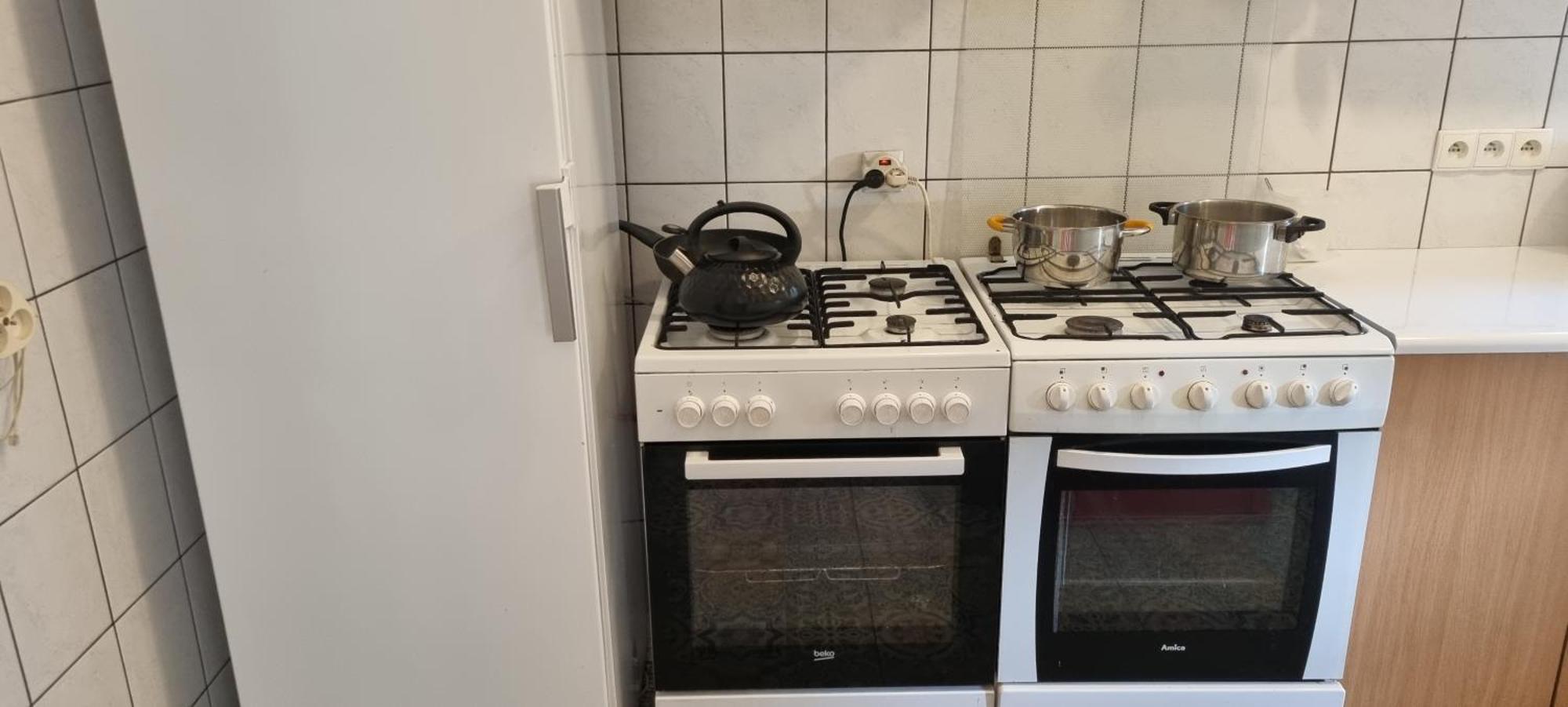 Farm stay Koziolkowo