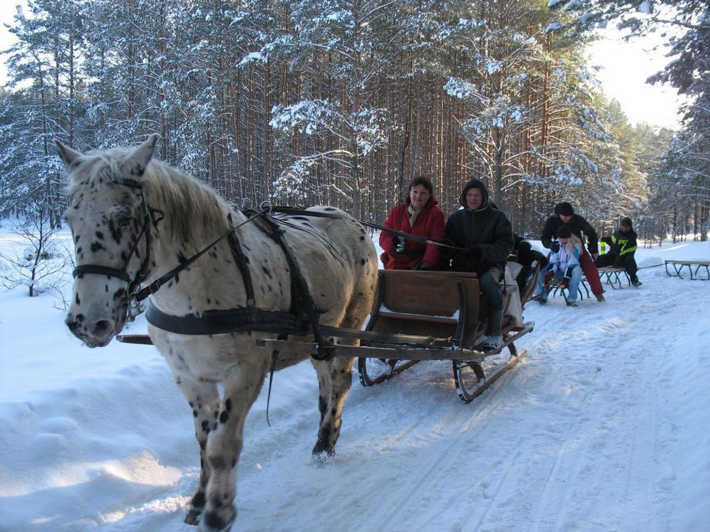 Farm stay Koziolkowo Bartoszylas