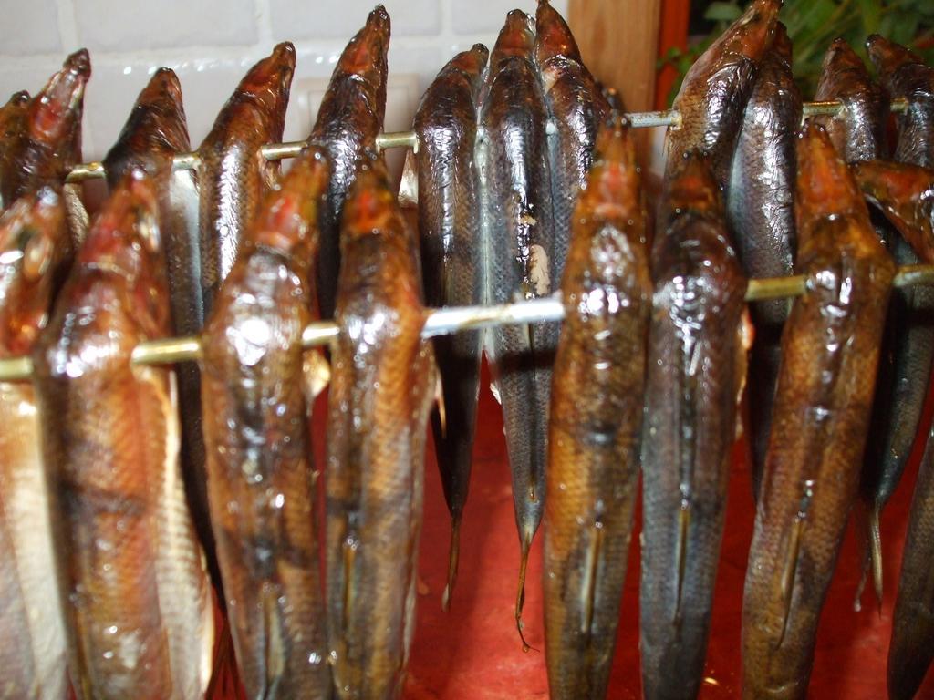 Koziolkowo