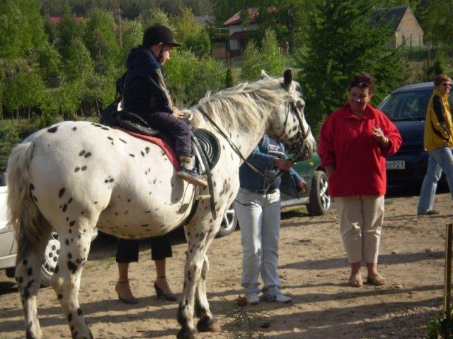 Farm stay Koziolkowo *