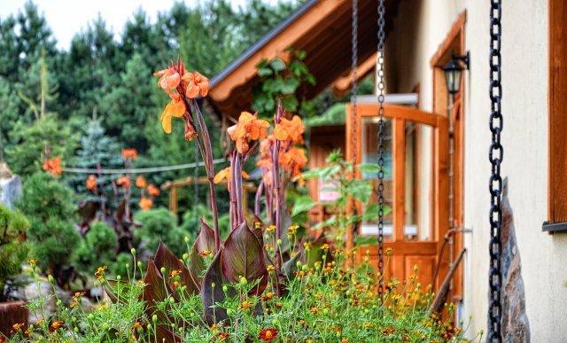 Farm stay Koziolkowo Bartoszylas